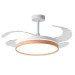 BEL AIR HOME - Ventilador de techo COSMOS con luz LED regulable (3 temperaturas), modo invierno, control remoto