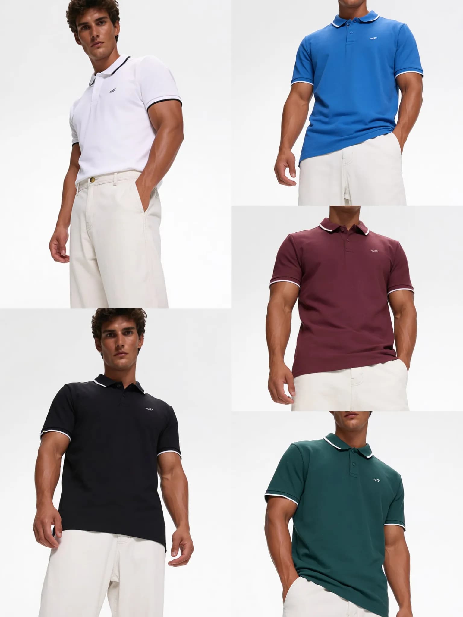 5 polos HOLLISTER por solo 19,90€