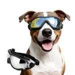 Gafas de sol para perros medianos/grandes con protección UV, resistentes al viento, antipolvo y a prueba de nieve, con correas elásticas