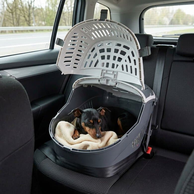 Transportín especial para coche para gatos y perros de tamaño pequeño y mini (máximo 10 kg) | Recogida gratis
