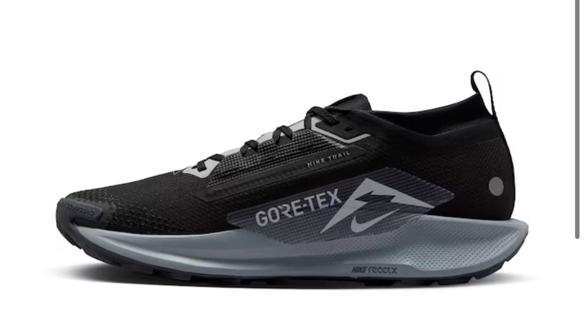 Zapatillas de Trail Running de hombre NIKE PEGASUS TRAIL 5 GTX Nike Negro (40, 40.5, 42, 42.5,44, 44.5)