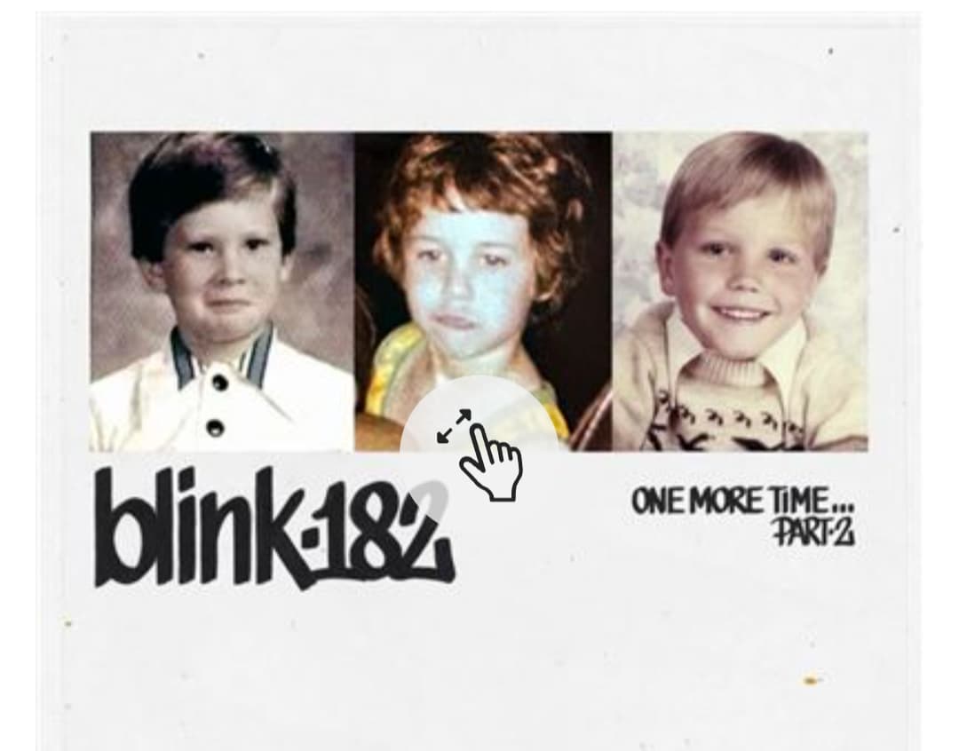 Disco vinilo blink 182