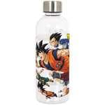 Botella Dragon Ball Personajes volando 850ml
