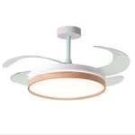 BEL AIR HOME - Ventilador de techo COSMOS con luz LED regulable