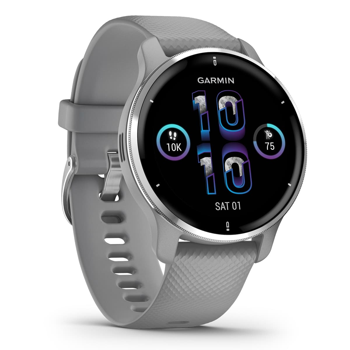 Garmin Venu 2 Plus Gris Plata Smartwatch Gris