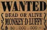 Felpudo One Piece - Wanted Dead Or Alive