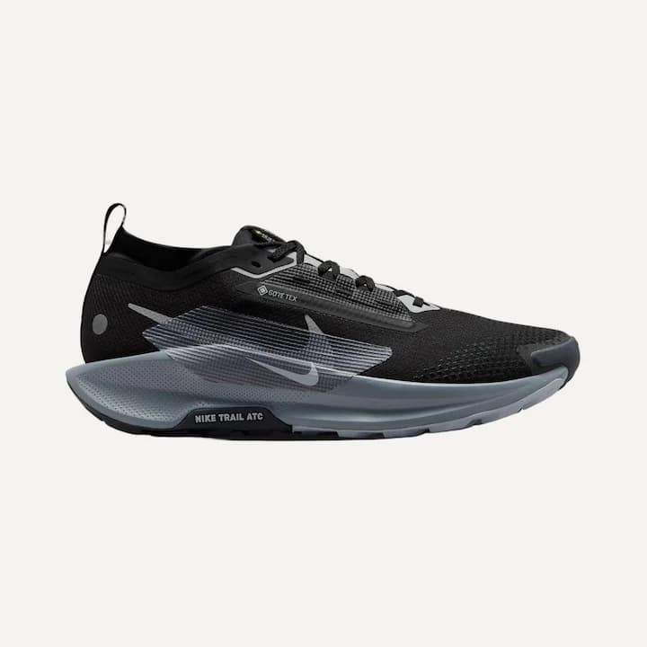 NIKE PEGASUS TRAIL 5 GORETEX. Tallas 40 a 46