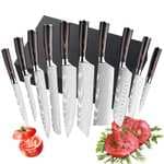 Dfito 10D Juego de cuchillos de cocina 10 piezas acero inoxidable 440A ultra afilados