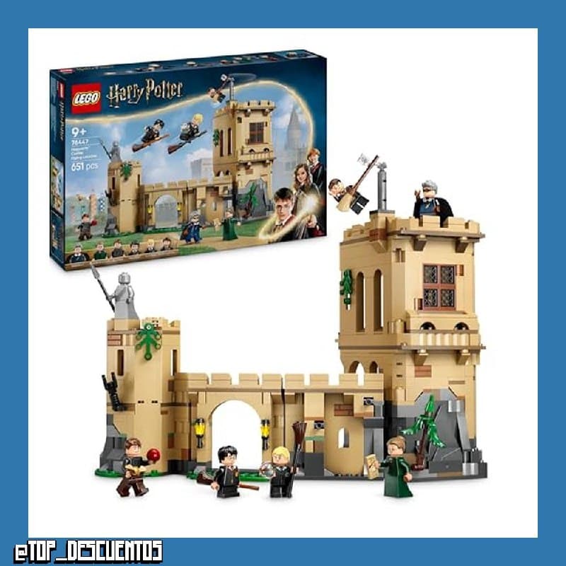 LEGO Harry Potter Castillo de Hogwarts: Clase de Vuelo 76447