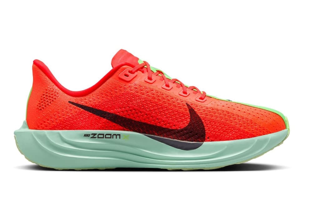Zapatillas de running de hombre Nike Pegasus Plus- Tallas- 40, 40.5, 44.5, 46- Recogida en tienda