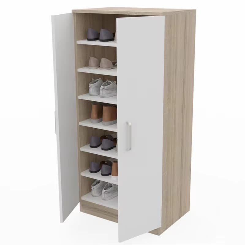 Armario zapatero 2 puertas en 3 colores (Envio desde España)