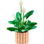 LEGO Botanicals 11504 Lirio de la Paz